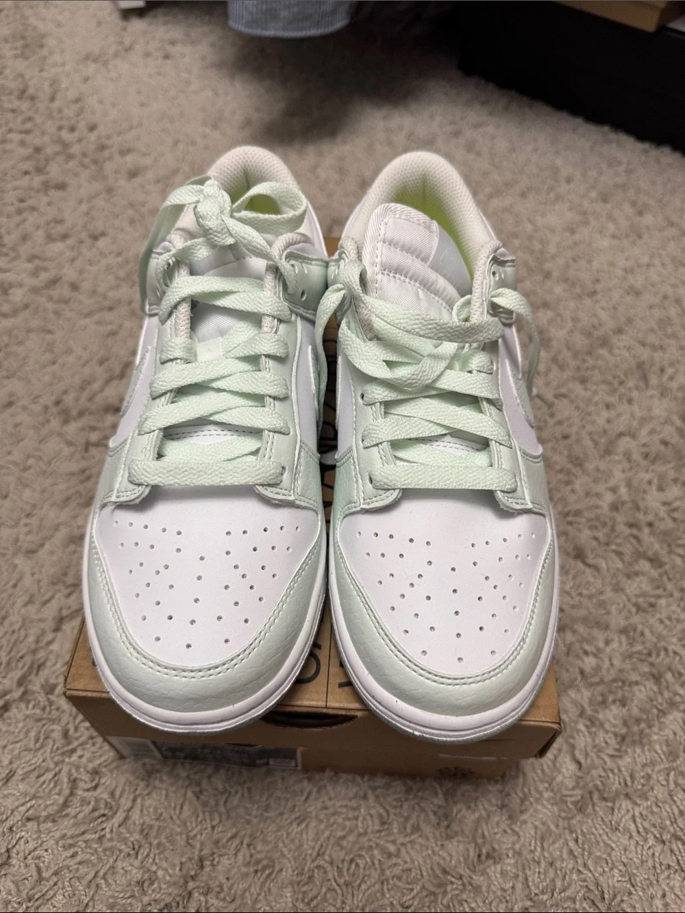Nike Women’s Low-Top Sneakers in Mint Green and White